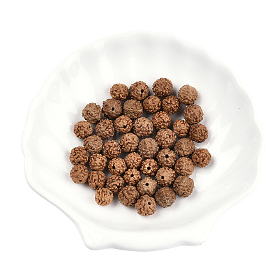 Undyed Natural Rudraksha Beads WOOD-T030-01-1