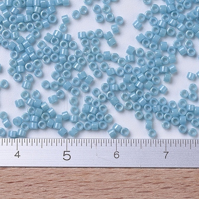 MIYUKI Delica Beads X-SEED-J020-DB0218-1