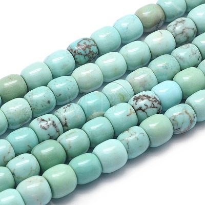 Natural Magnesite Beads Strands G-F578-06-1