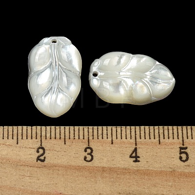 Natural White Shell Pendants SSHEL-N038-09-1