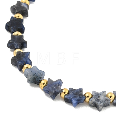 Natural Sodalite Beaded Necklaces NJEW-P311-04B-G-1