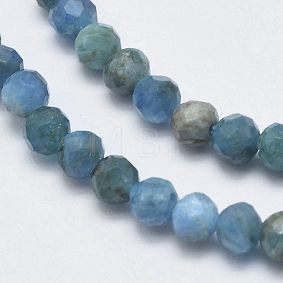 Natural Apatite Beads Strands G-F547-37-5mm-1