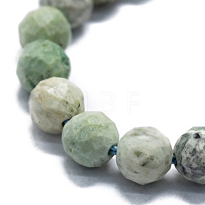 Natural Peruvian Turquoise(Jasper) Beads Strands G-G927-40-1