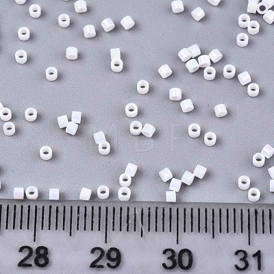 11/0 Grade A Baking Paint Glass Seed Beads SEED-S030-0401-1