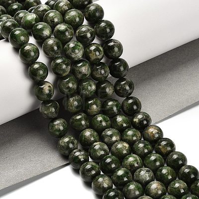 Natural Diopside Beads Strands G-R006-A01-01-1