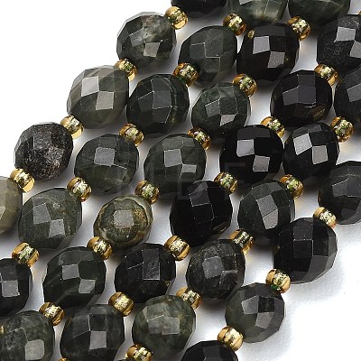 Natural Green Wood Lace Stone/Wooden Jasper Beads Strands GG-CBA4A3B-A03-1