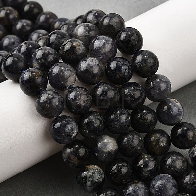 Natural Iolite Beads Strands G-E561-16-10mm-1