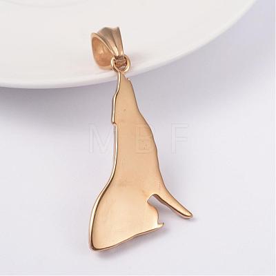316L Surgical Stainless Steel Pendants STAS-L186-046G-1