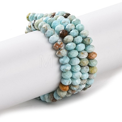 Natural Howlite Beads Strands X-G-H025-03C-09-1