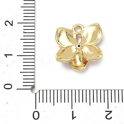 Brass Micro Pave Clear Cubic Zirconia Charms KK-CBA74BF-05G-01E-1