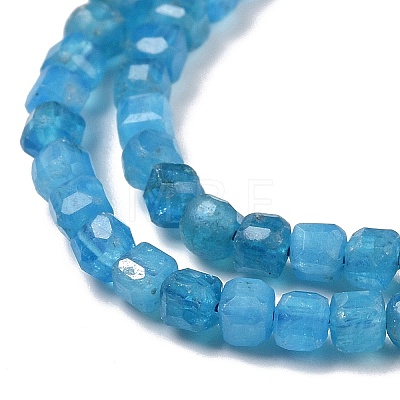 Natural Apatite Beads Strands G-C009-B14-1