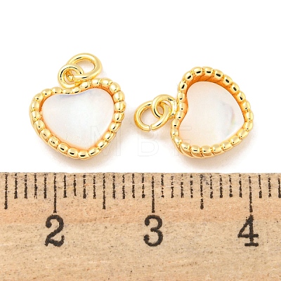 Natural Shell & Brass Heart Charms with Jump Rings KK-P275-08G-1