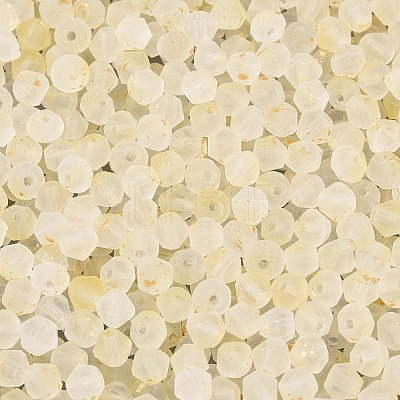 Frosted Glass Seed Beads SEED-N012-01F-1
