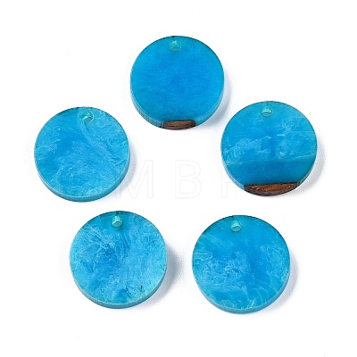 Opaque Resin Pendants RESI-T058-03B-1