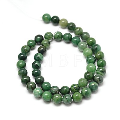 Natural West Africa Jade Round Beads Strands G-P075-03-6mm-1