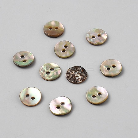 2-Hole Shell Buttons BUTT-WH0030-71C-1