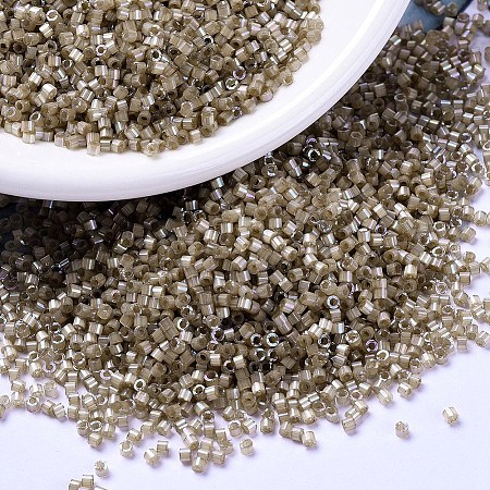 MIYUKI Delica Beads X-SEED-J020-DB1862-1