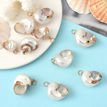 Electroplated Spiral Shell Pendants BSHE-YW0001-07G-1