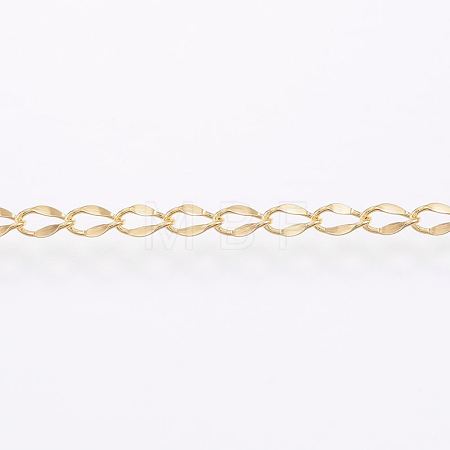Handmade 304 Stainless Steel Curb Chains STAS-G038-11B-1