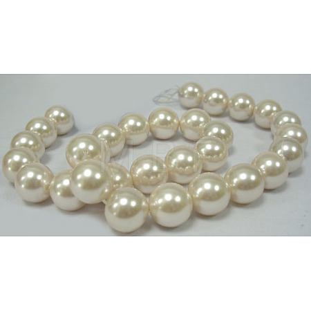 Shell Pearl Beads Strands SP10MM205-1