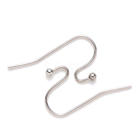 Non-Tarnish 304 Stainless Steel Earring Hooks STAS-S111-005-1
