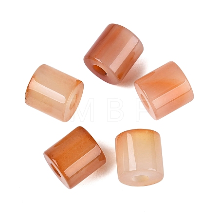 Natural Red Agate European Beads G-P520-05S-1