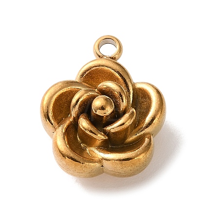 304 Stainless Steel Charms STAS-Z206-01G-1
