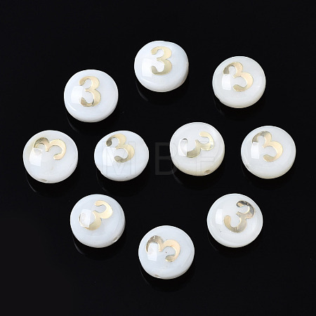 Natural Freshwater Shell Beads SHEL-N003-20-03-1