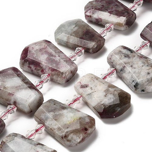 Natural Plum Blossom Tourmaline Beads Strands G-H078-A01-02-1