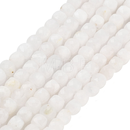 Natural Rainbow Moonstone Beads Strands G-H042-A02-02-1