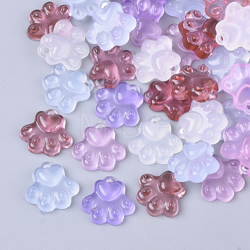 Translucent Resin Charms X-RESI-T040-033-1