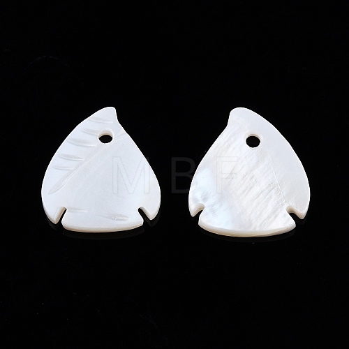 Natural Freshwater Shell Charms SHEL-N026-202-1