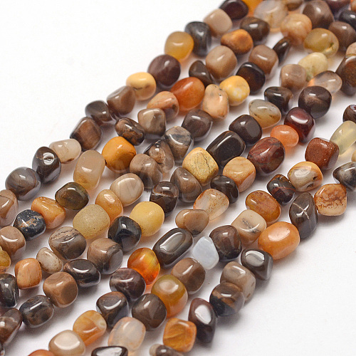 Natural Petrified Wood Beads Strands G-F465-20B-1
