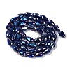 Opaque Solid Color Electroplate Glass Beads Strands EGLA-N013-P10mm-B03-2