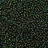 TOHO Round Seed Beads X-SEED-TR11-0507-2