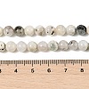 Natural Rainbow Moonstone Beads Strands G-H093-B01-6MM-3