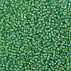 TOHO Round Seed Beads X-SEED-TR08-0307-2