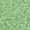 FGB Frosted Transparent Glass Seed Beads SEED-N013-02A-08-3