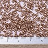MIYUKI Round Rocailles Beads X-SEED-G007-RR1072-2