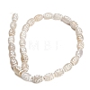 Tibetan Style dZi Beads Strands GG-CBA4812-C05-8X12MM-3