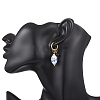 Oval 316 & 202 Stainless Steel Hoop Earrings EJEW-JE06734-02-2