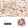 Nail Art Glitter Sequins AJEW-Q033-003J-2