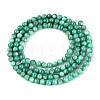 Natural Freshwater Shell Beads Strands X-BSHE-T009A-01J-2