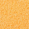 MIYUKI Delica Beads SEED-MY11-DB2032-2