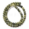 Natural Gemstone Beads GSR6mmC032-13