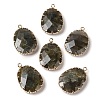 Natural Labradorite Faceted Pendants G-Q169-01G-03-1