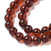 Natural Amber Beads Strands G-K387-D01-01-3