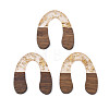 Transparent Resin & Waxed Walnut Wood Pendants RESI-Q211-01A-1