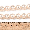 Electroplated Shell Pearl Beads Strands BSHE-G041-10mm-04-2
