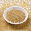 MIYUKI Round Rocailles Beads SEED-X0054-RR0003-2